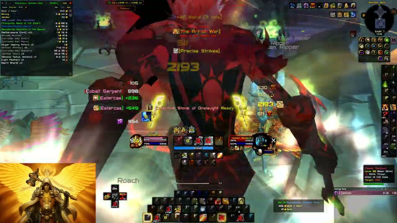 RETRI PALADIN SETHEKK HALLS SKIP RUN