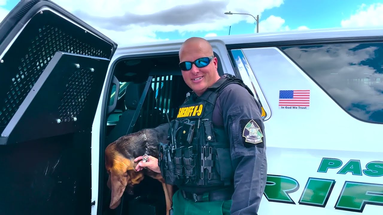 TweetAlong: Bloodhound Training