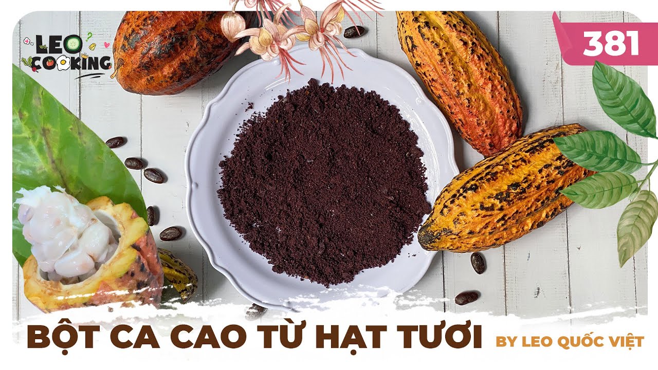 Cocoa series | Cách làm BỘT CACAO TỪ HẠT TƯƠI (KO Ủ MỐC) đơn giản để trải nghiệm | LEO COOKING 381