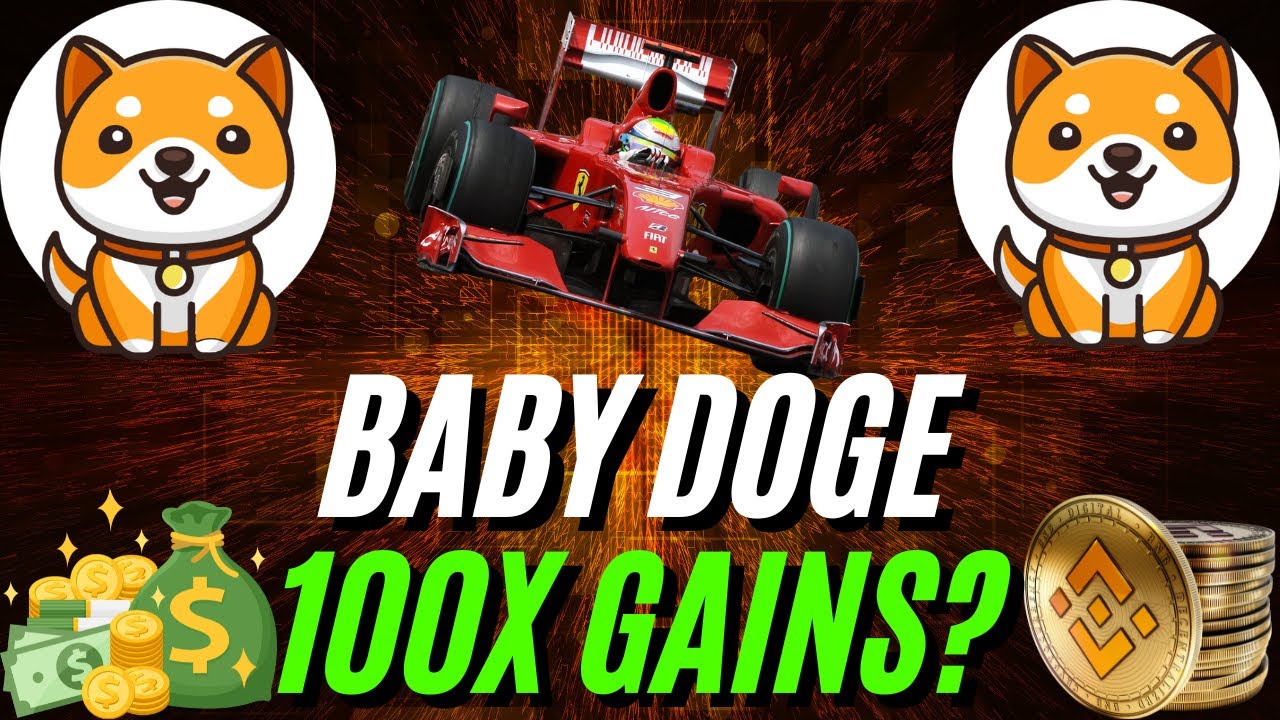 Baby Doge Holders Will See MASSIVE GAINS Due To These Major Catalysts