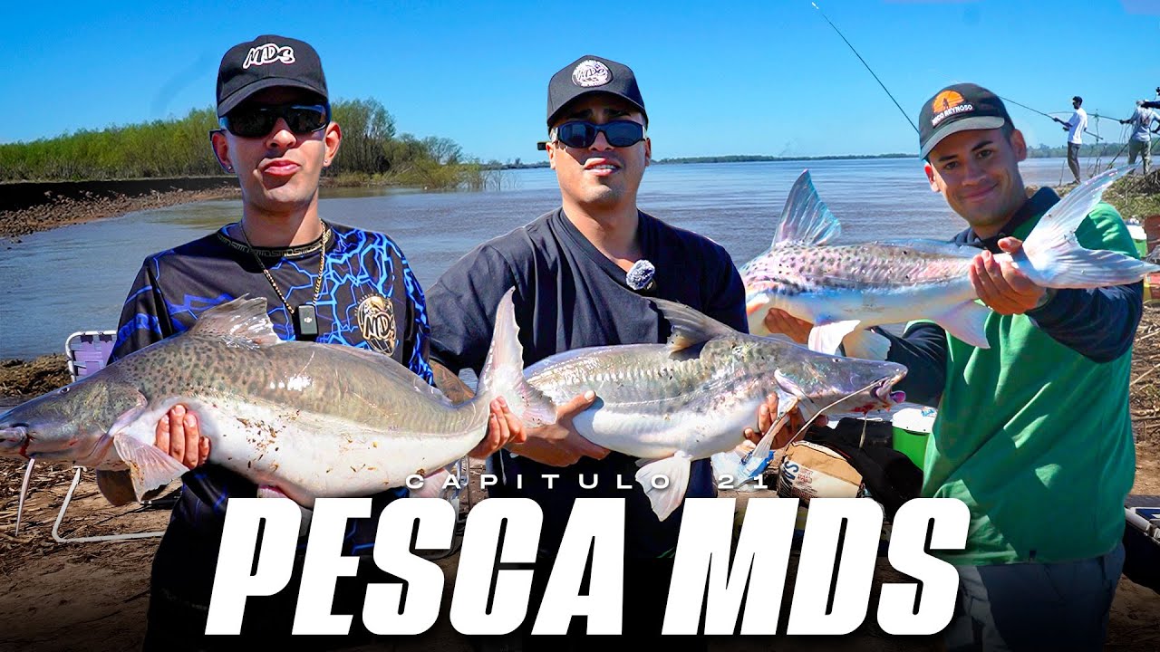 SACAMOS MUCHOS PATIES GRANDES EN LOS POZOS DE FIGHIERA 🎣 PESCA MDS