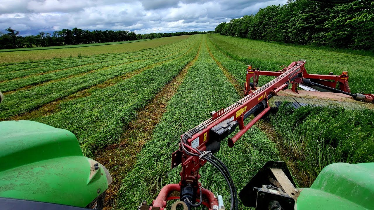 Cutting Hay The Old School Way? 1st Cut For Beef Cows