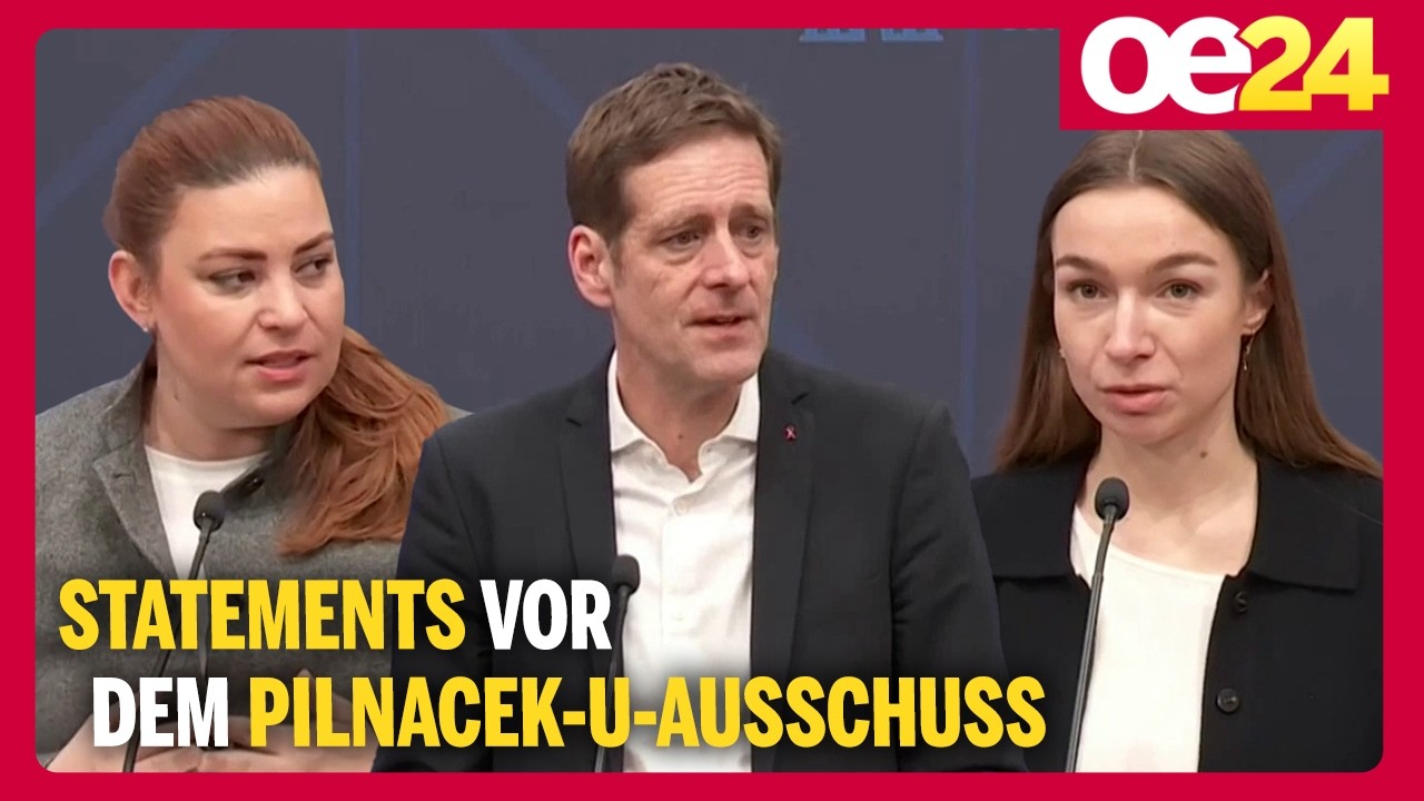 Statements vor dem Pilnacek-U-Ausschuss