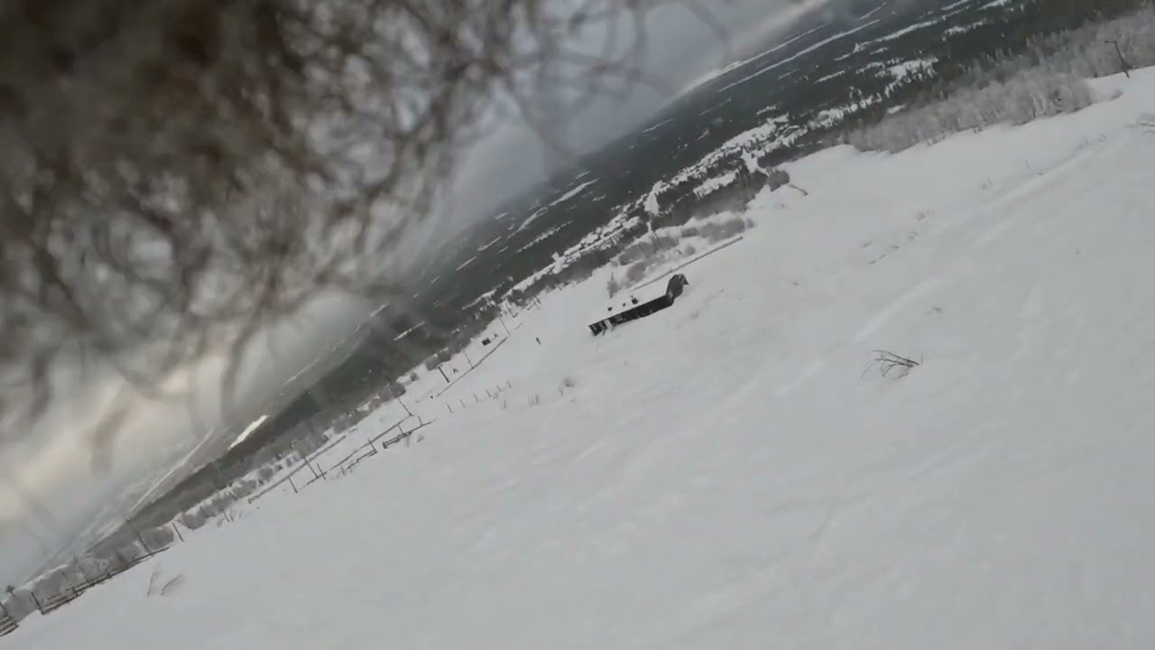 Trillevallen februari 2024