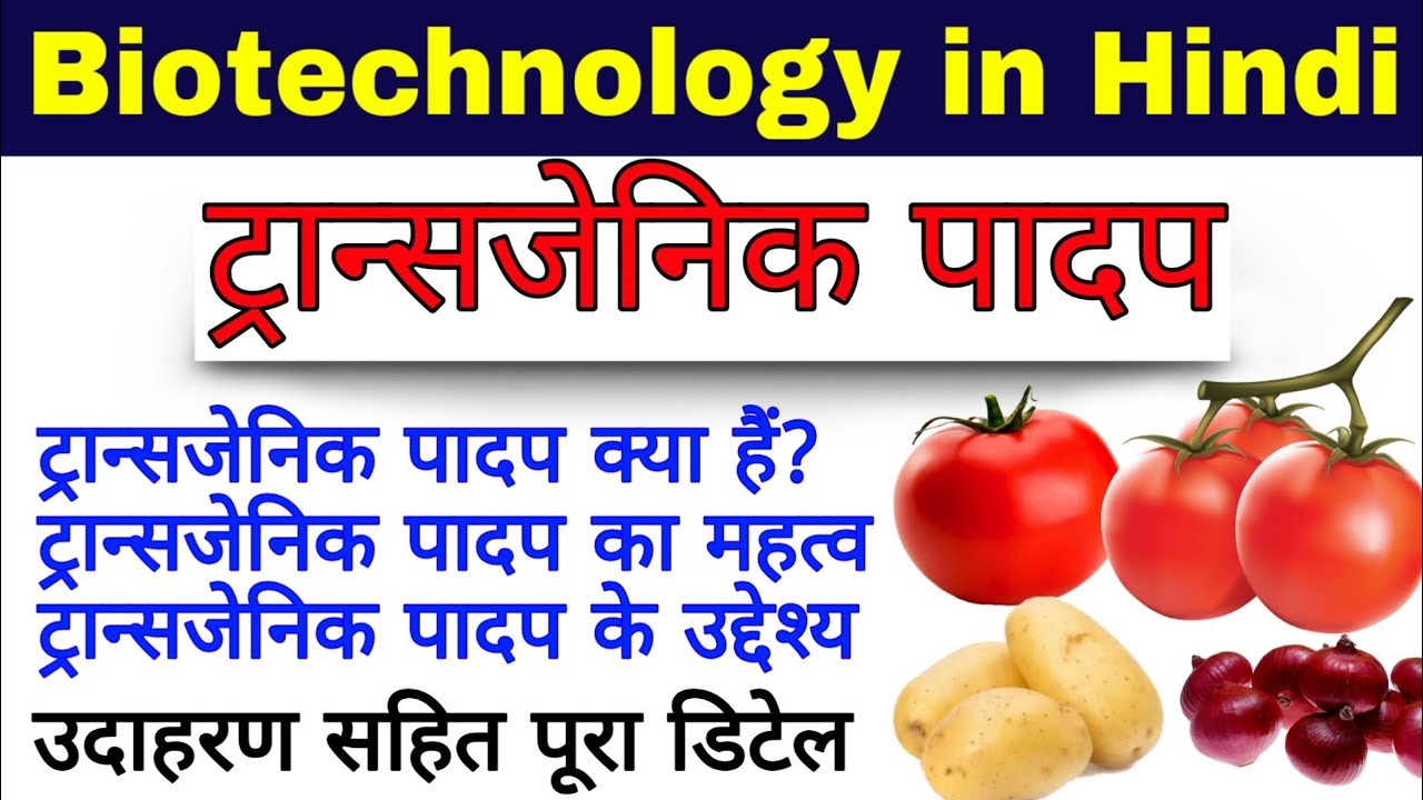 Transgenic plants (ट्रांसजेनिक पादप)| Transgenic plants in hindi | Biology Science sk