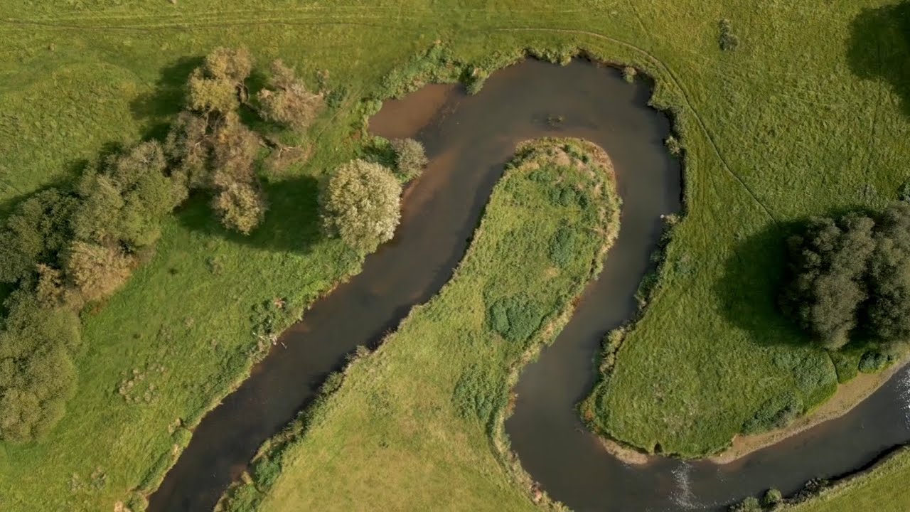 A better future for the River Culm