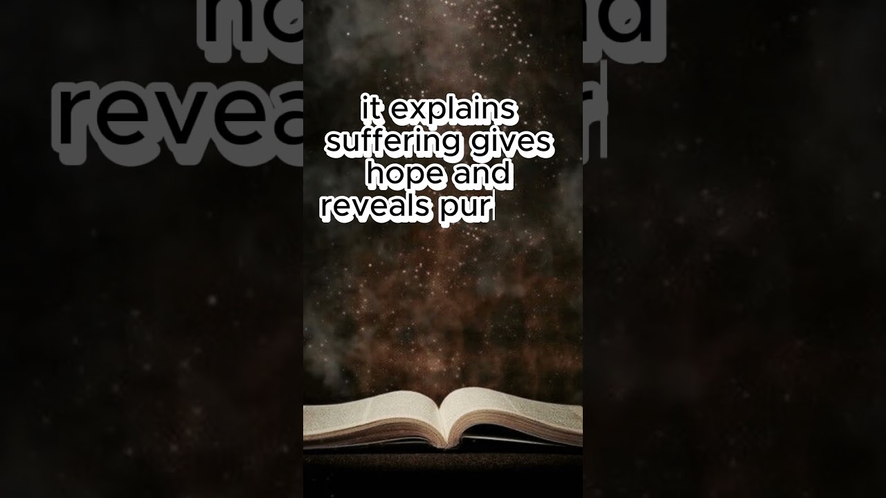 Those who study the Bible seriously #quotes #holyspirittv #christiantext  #holybible #motivation