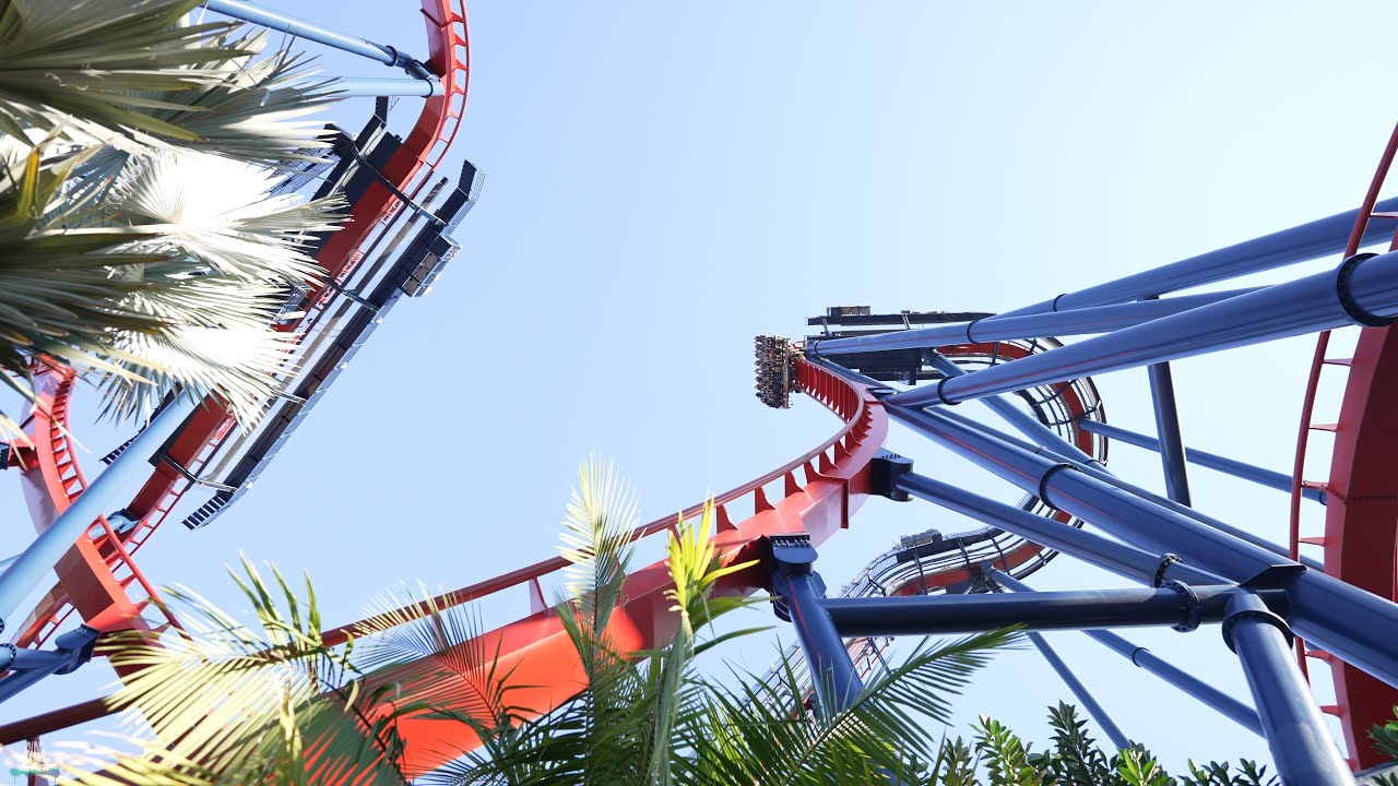 SheiKra - Busch Gardens Tampa Bay - Cinematic Onride/Offride - Bolliger & Mabillard - Dive Coaster