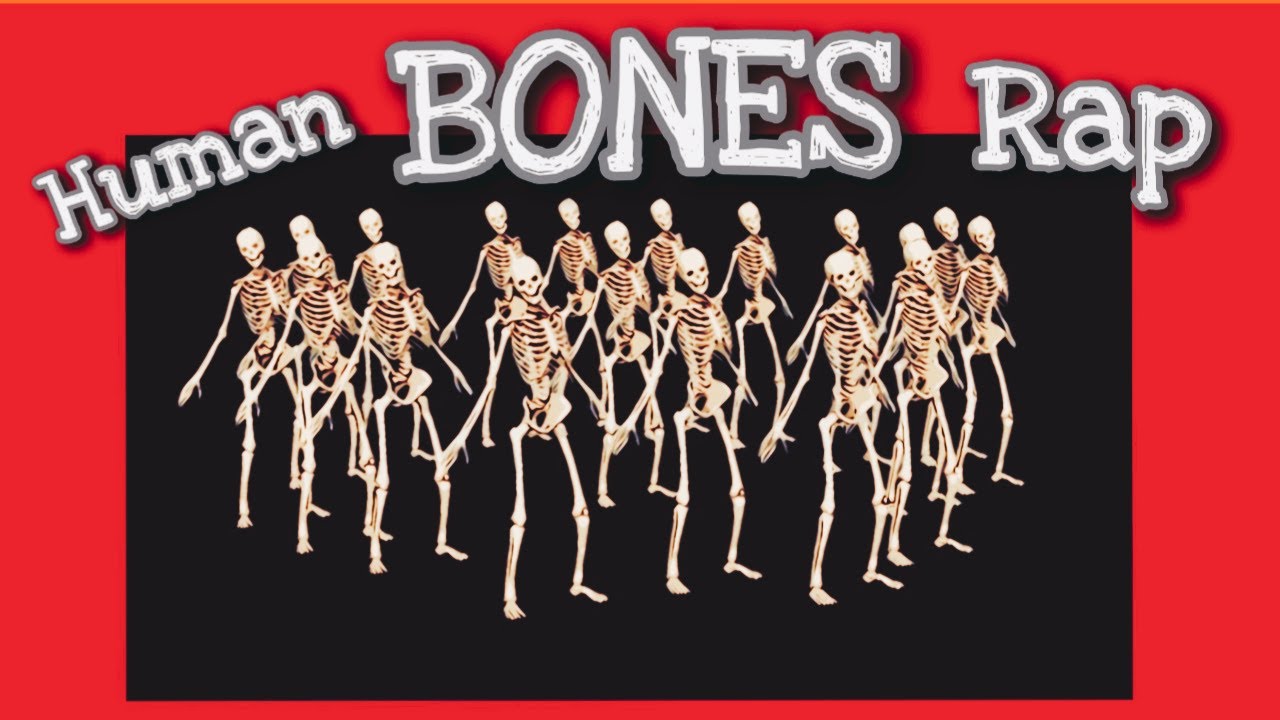 If You Can't Remember The Bones Watch This! (Human Bones Rap🎵)