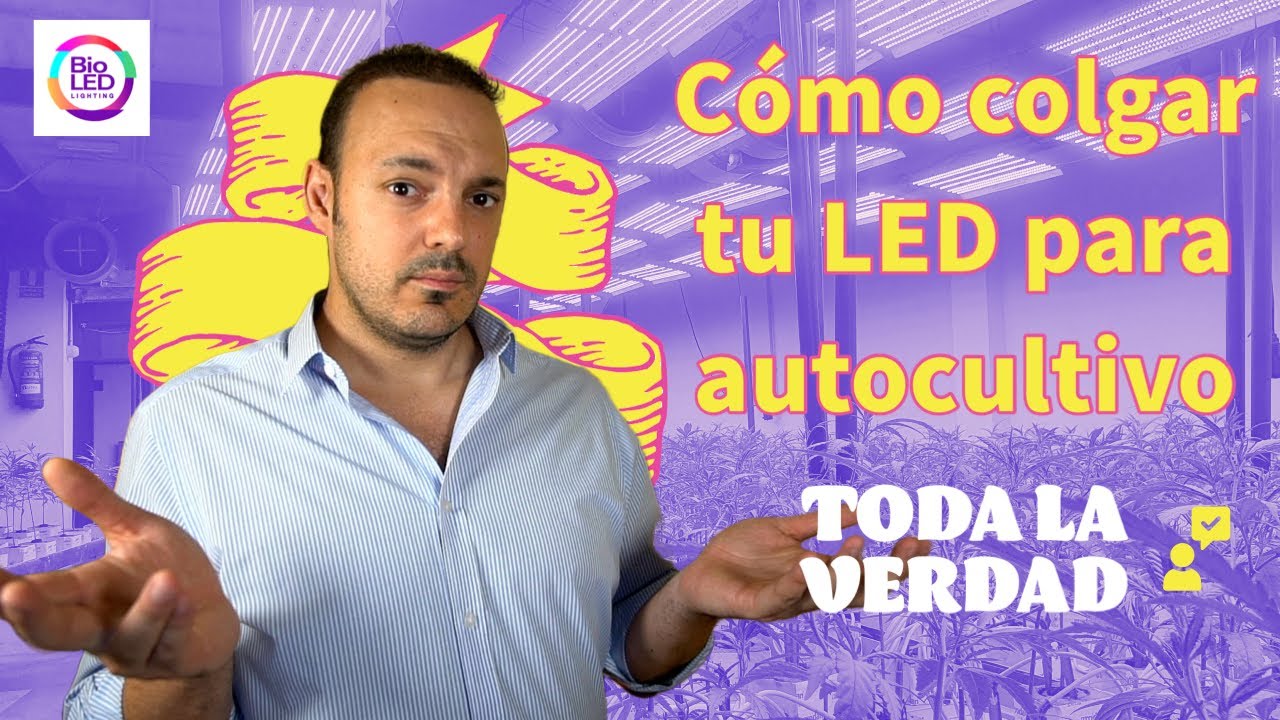 Como instalar LED para cultivo de cannabis - Secretos de la luz