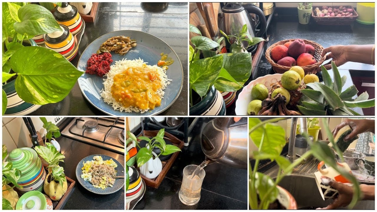 Simple & Realistic routine || Day In My Life 🤗 || My Full Day Diet Routine 💁‍♀️ #vlog#home#diml