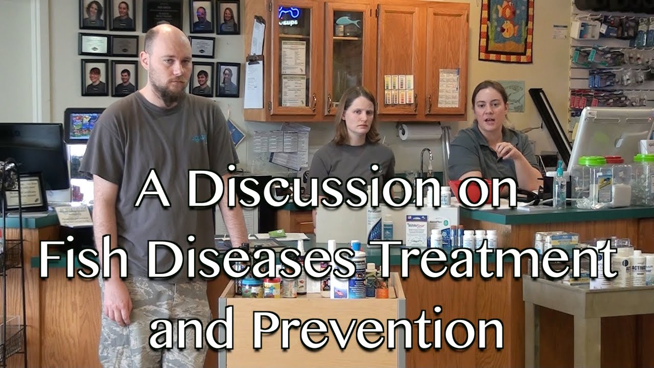 A Discussion on Fish Diseases Treatment and Prevention