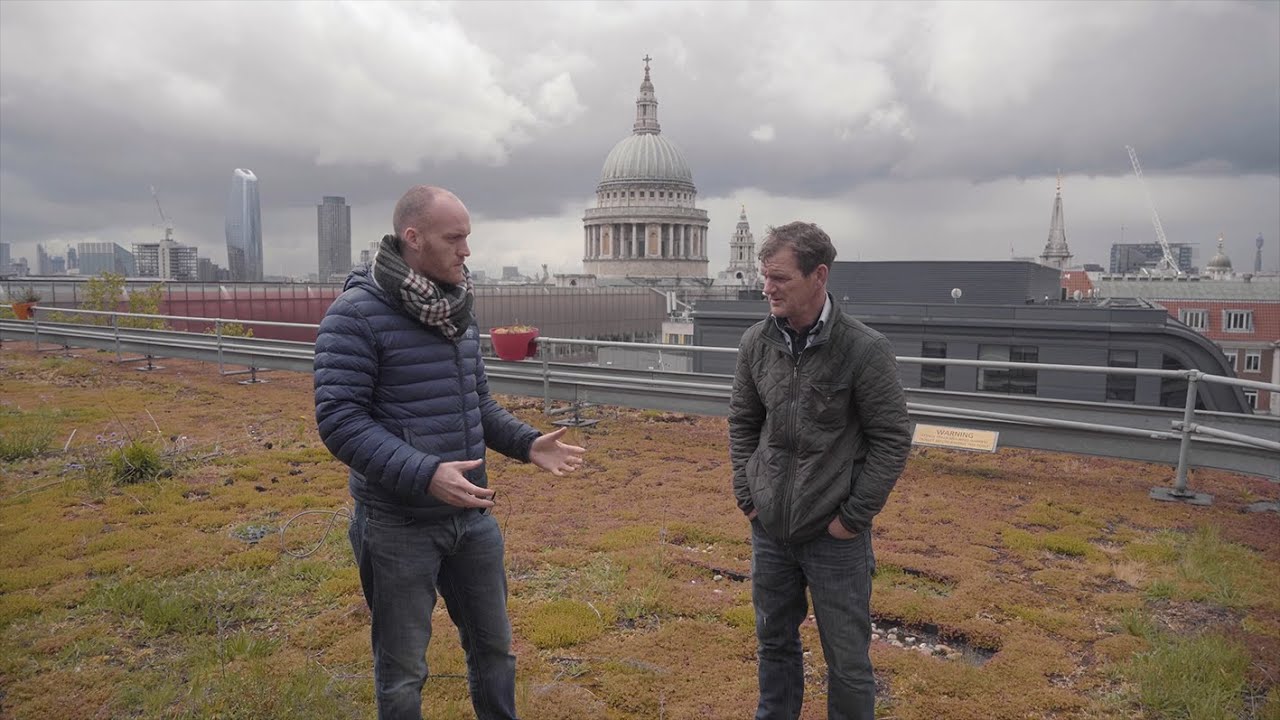 Dusty Gedge - Climate and Ecology