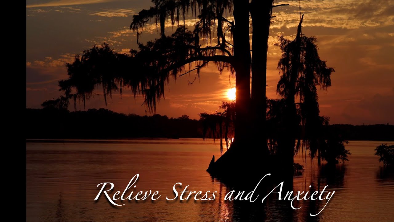Find STRESS RELIEF in 30 Minutes with Cypress Sunset!
