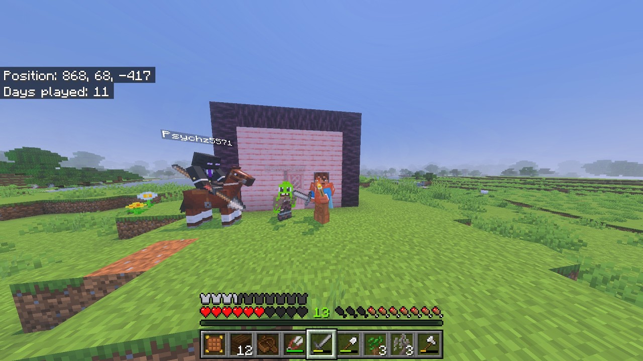 MINECRAFT with Enderman Jockey and an ALIEN