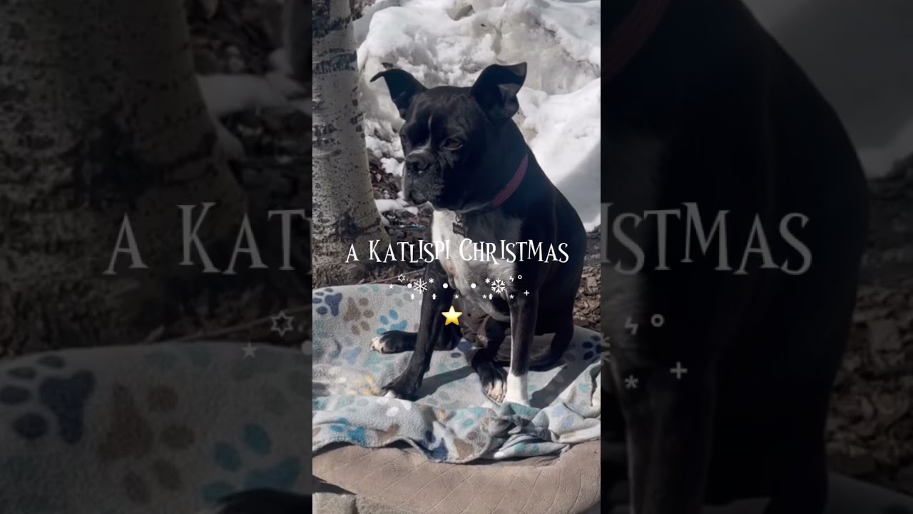 WindyGirk Mery christmas coming soon⭐️🎄💕‼️ #WindyGirk #katlispi #youtubeshorts  @WindyGirkTV