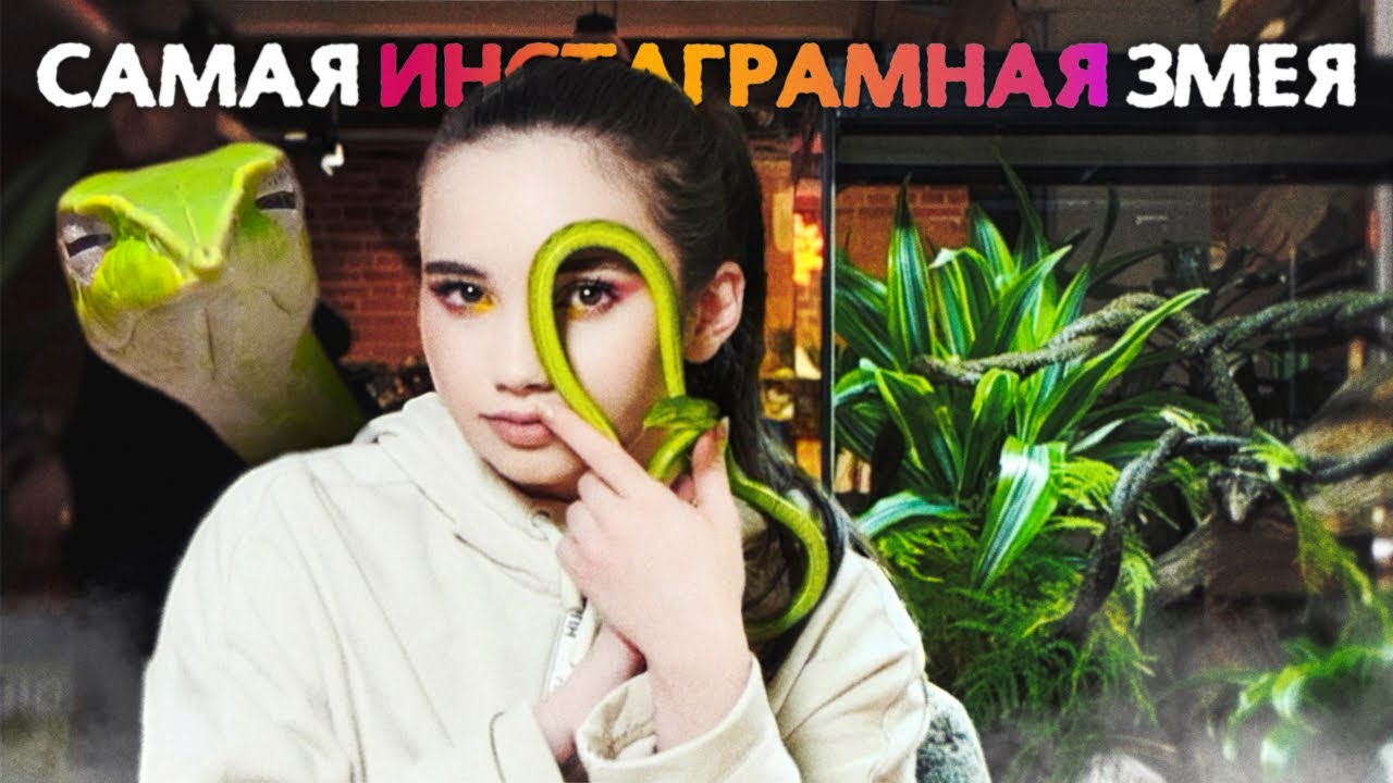 Ядовитый домашний питомец 🐍 Плетевидная змея, содержание и уход