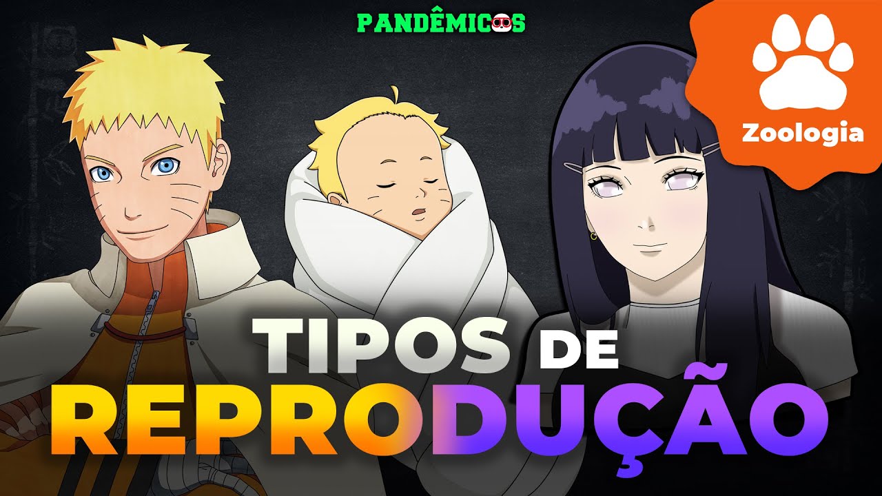 Tipos de Reprodu&ccedil;&atilde;o e Desenvolvimento