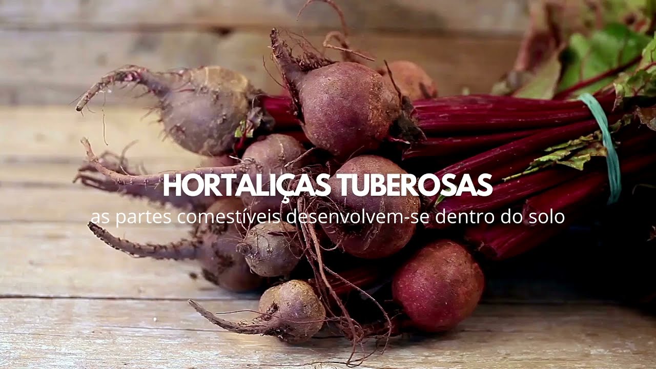 O que s&atilde;o Hortali&ccedil;as?