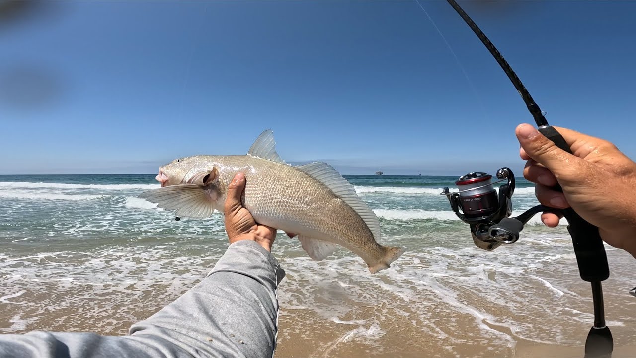 Extremely Light line Fishing for CORBINA in Southern California