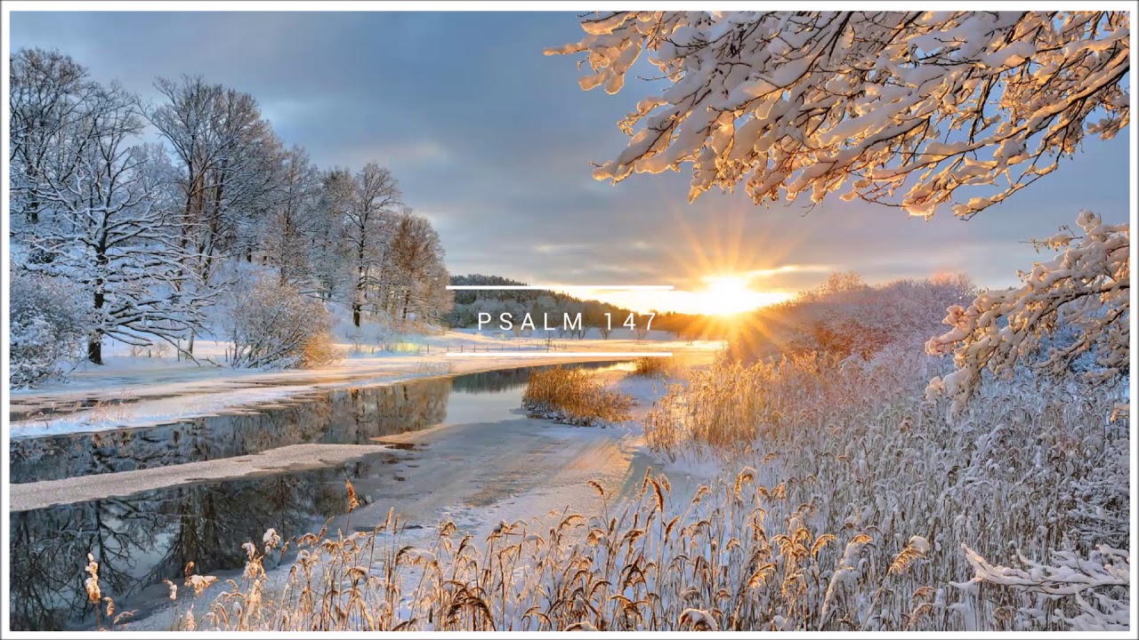 Psalm 147 Biblia warszawska