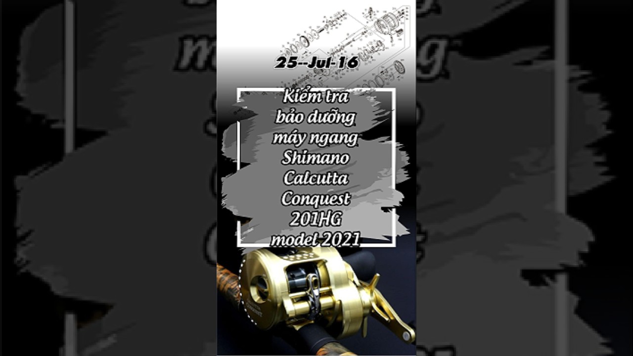 25-Jul-16 Kiểm tra bảo dưỡng máy ngang Shimano Calcutta Conquest 201HG model 2021