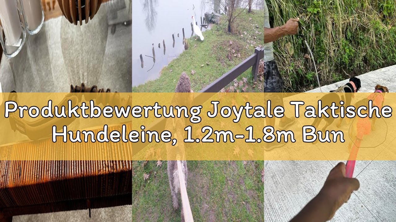 Produktbewertung Joytale Taktische Hundeleine, 1.2m-1.8m Bungee Hundeleine Reflektierend mit 2 Gepol