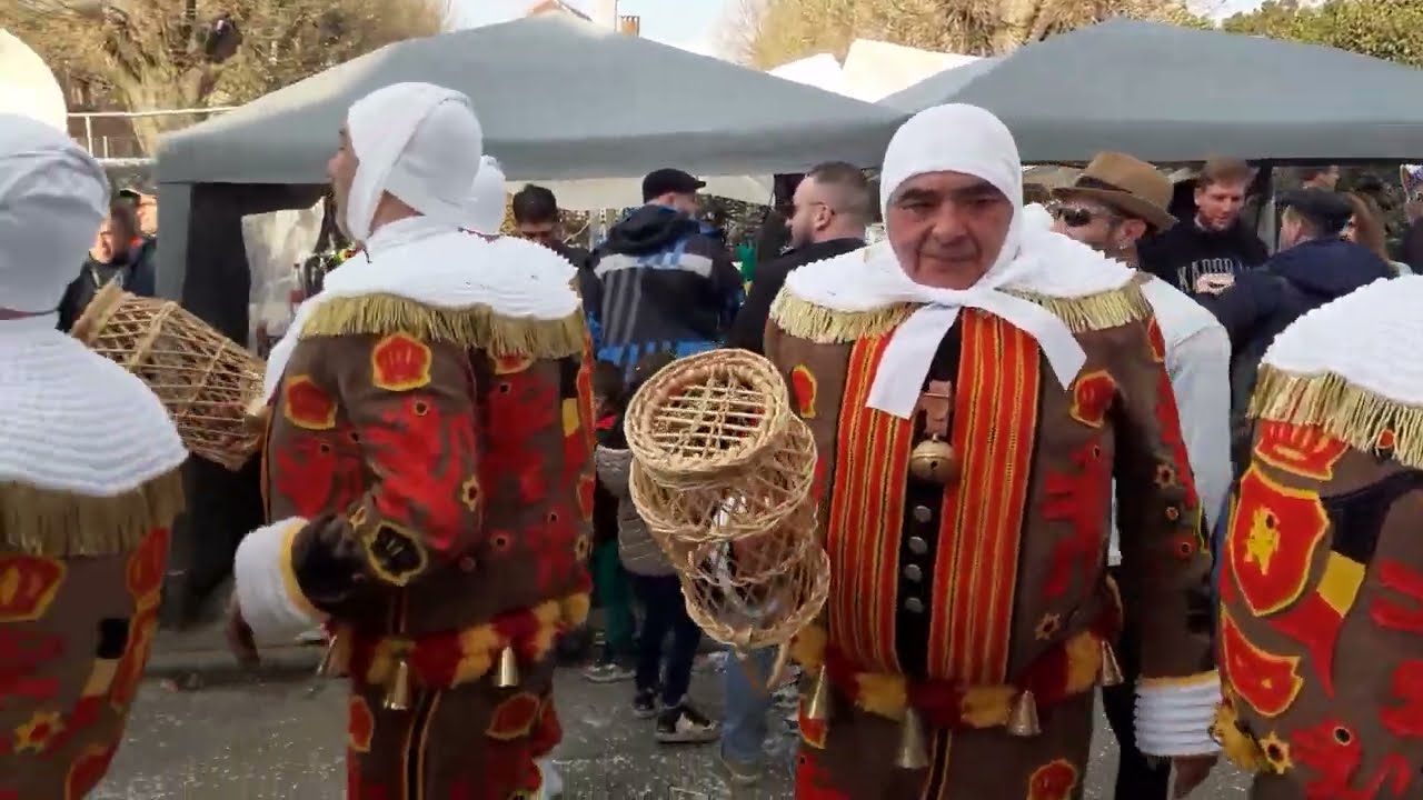 Cavalcade de Péronnes-lez-Binche 2023 (2)