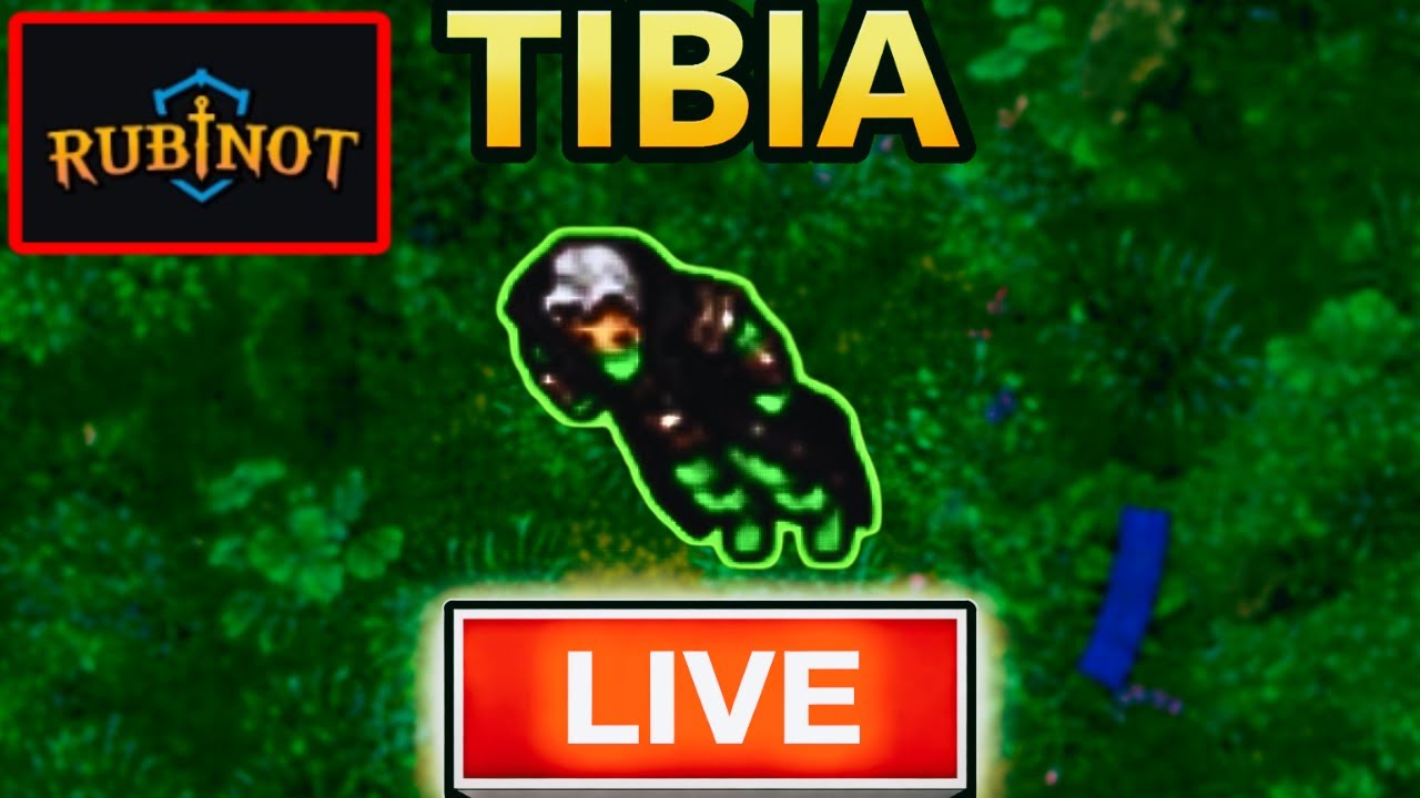 RubinOT RP 700+ | Monk 400  #live #tibia #rubinot