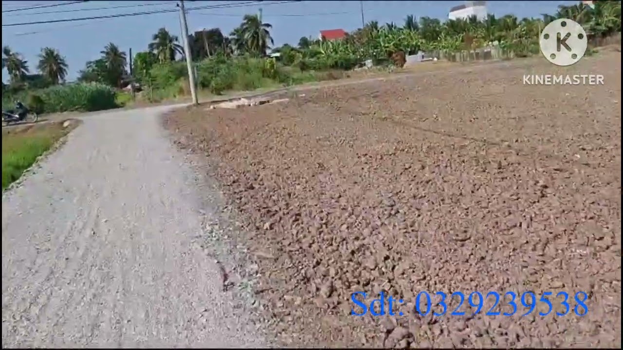 Ms20: 3lo 5x22 có 100 thổ giá300tr tluong đất ở ấp bình cách xã yên luông gò công Tây Tiền Giang 