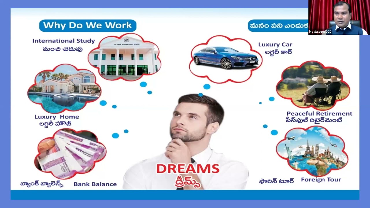 Vestige Business Plan By Md Saleem