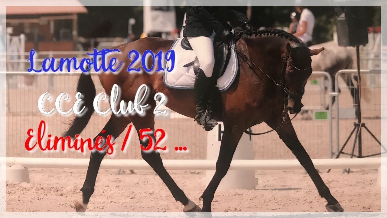 | LAMOTTE 2019 |