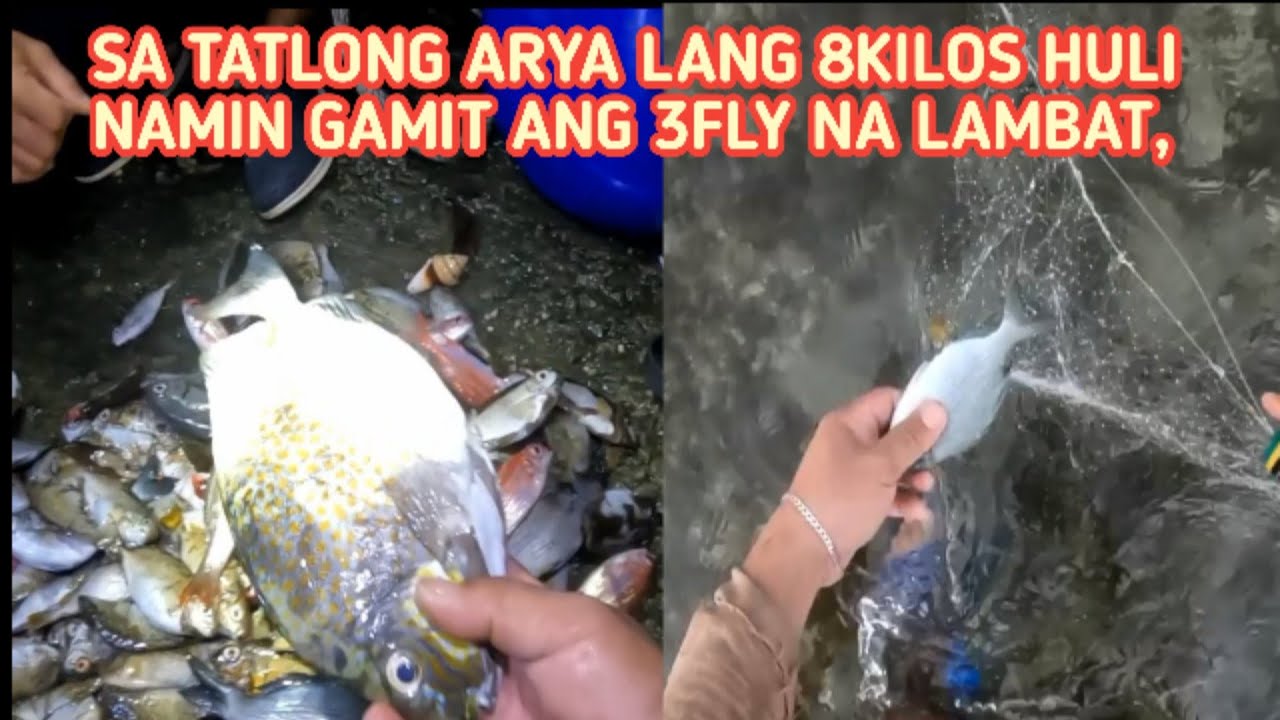 FISHING GAMIT ANG 3-FLY NA LAMBAT ,TATLONG ARYA LANG 8KILOS ANG HULI NAMIN