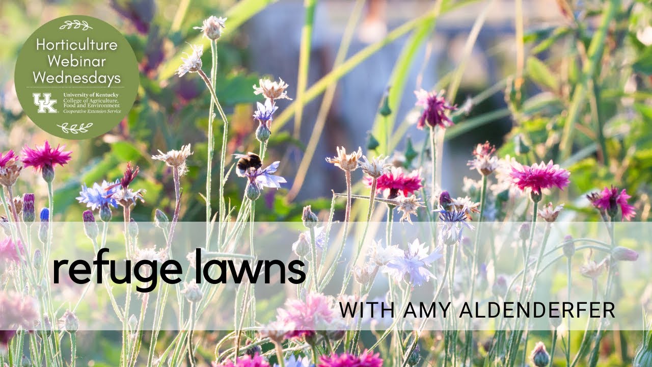 Refuge Lawns