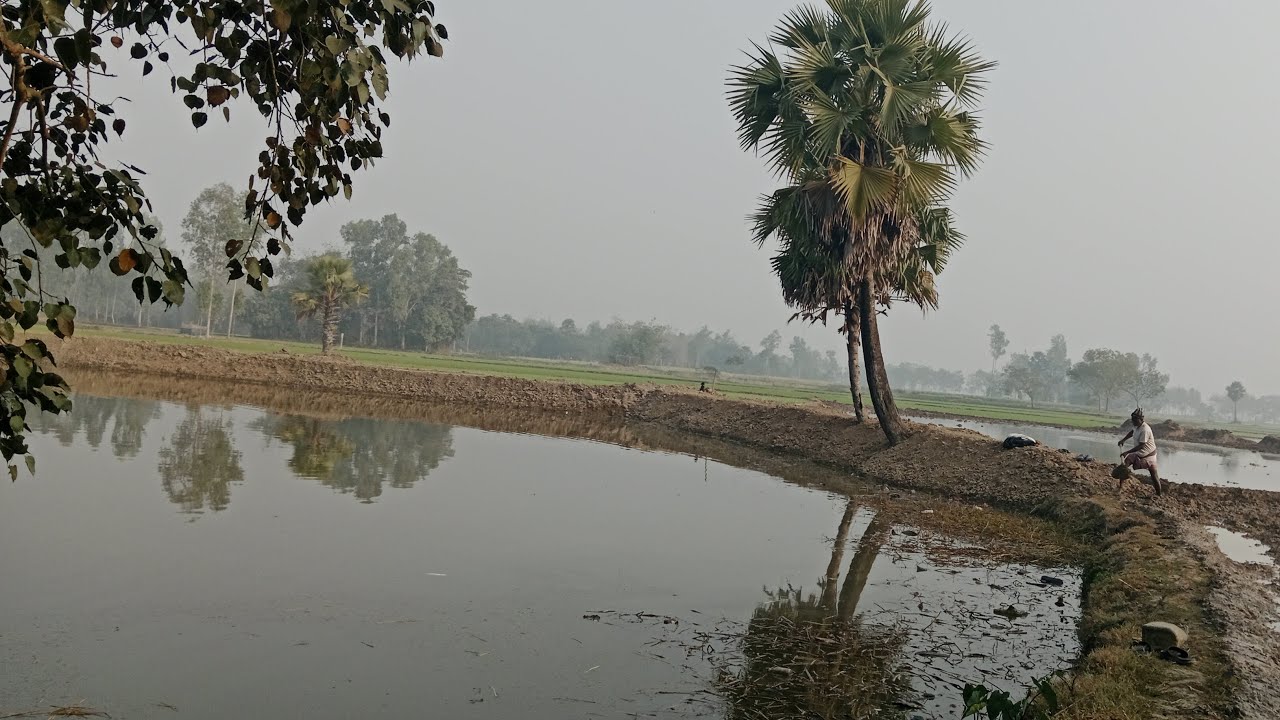 🥀🥀আসসালামু আলাইকুম🌹  গ্রামের দৃশ্য দেখতে কেমন 🥀🥀