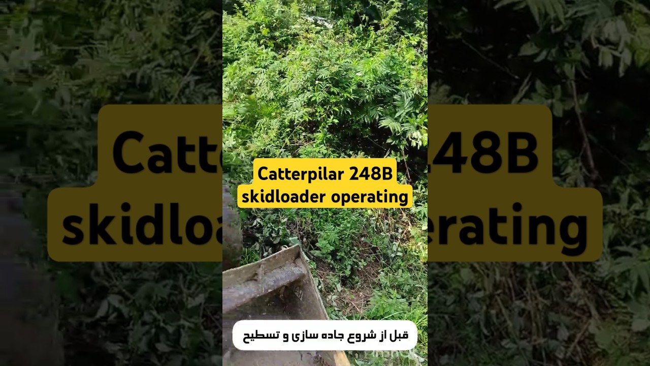 09119257919   Catterpillar 248b skid loader.     