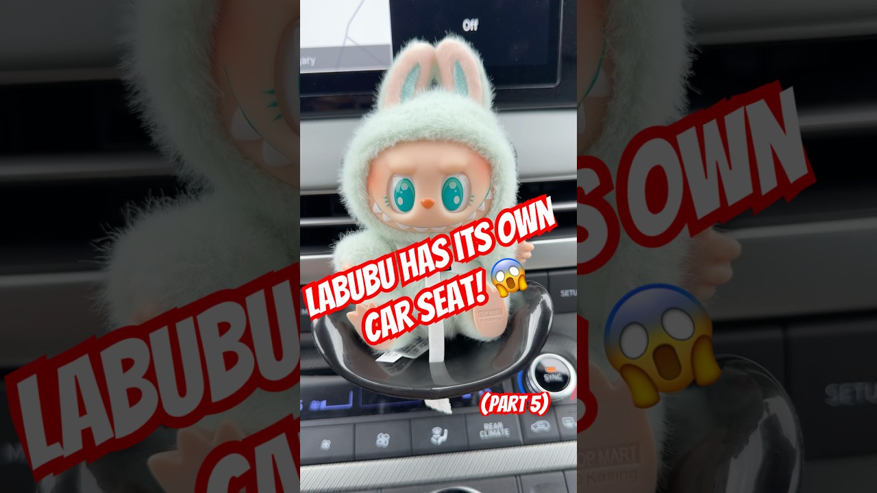 Labubu Car Seat Reveal! Still Hunting for the SECRET One 👀 (Part 5) #labubu