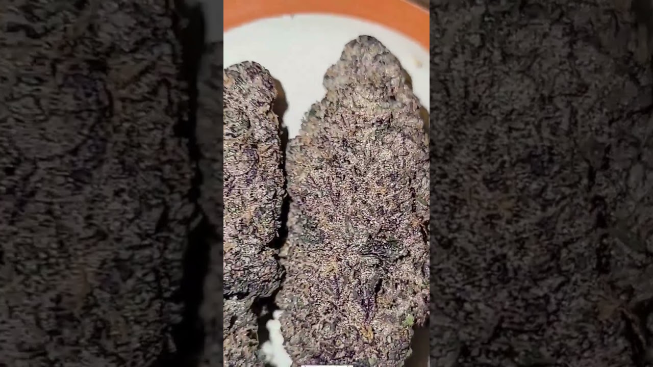 Orange N Berriez (Tropicana Cookies X Pink Runtz) Follow @Grownbygas on IG for more fire 🔥⛽️💥