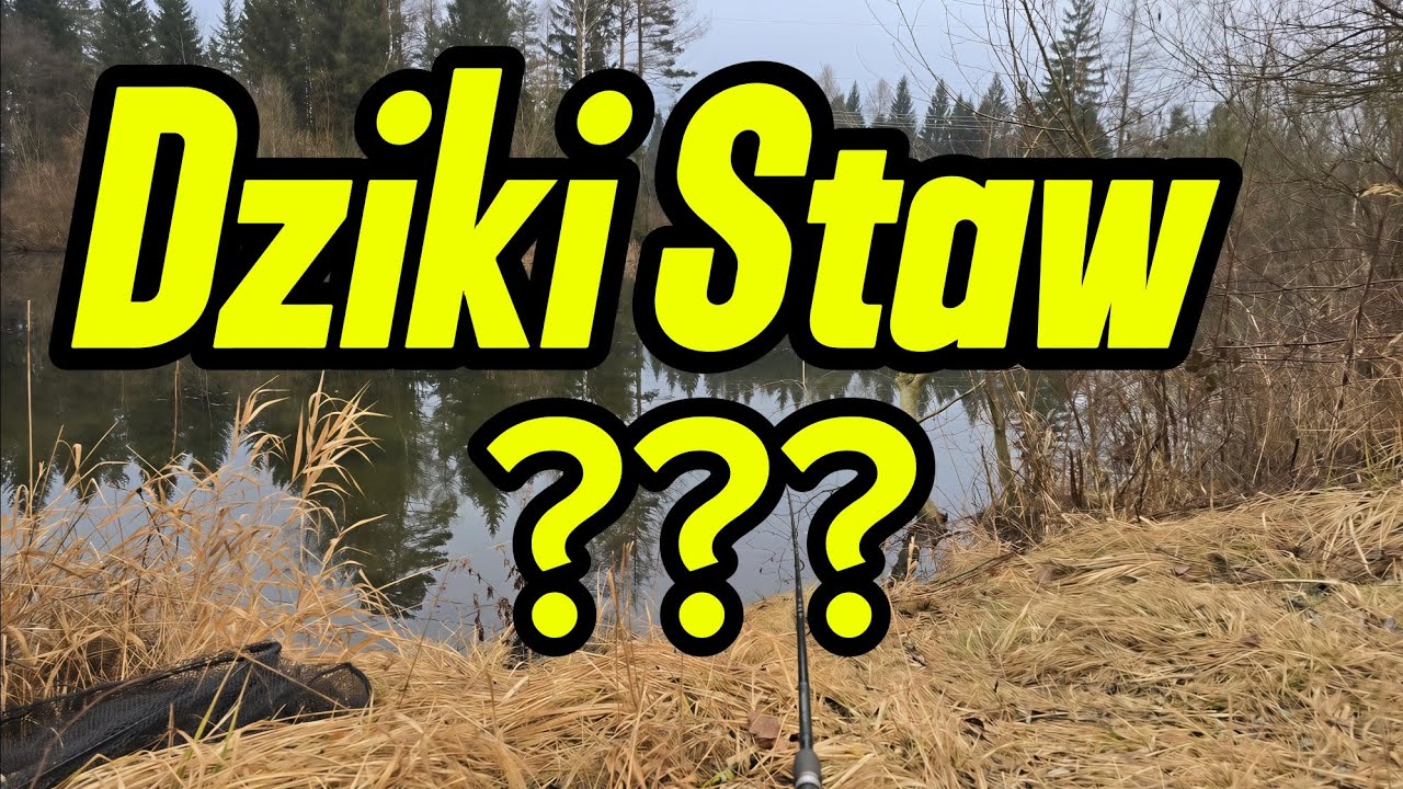 Dziki staw ???