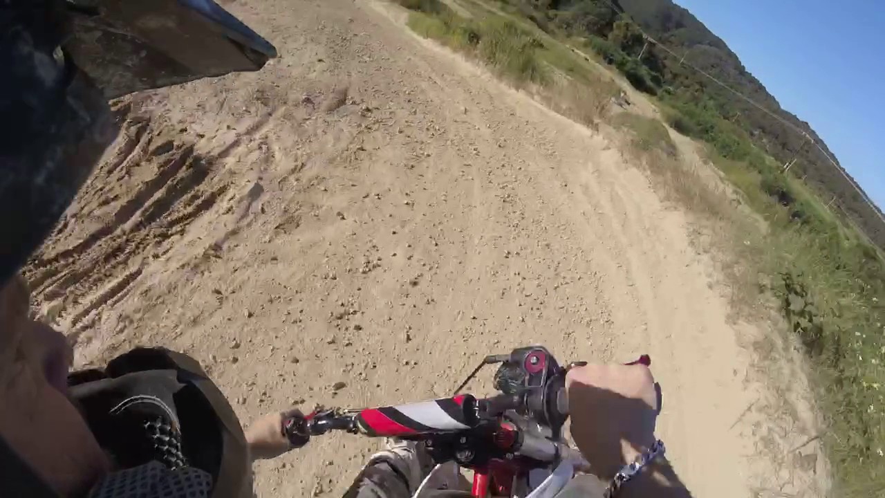 forza 155z pitbike