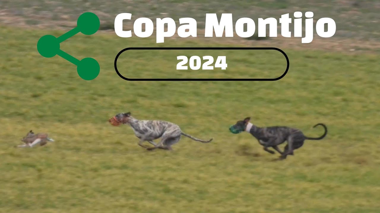 Copa Montijo 2024, octavos y cuartos en las Tramadas