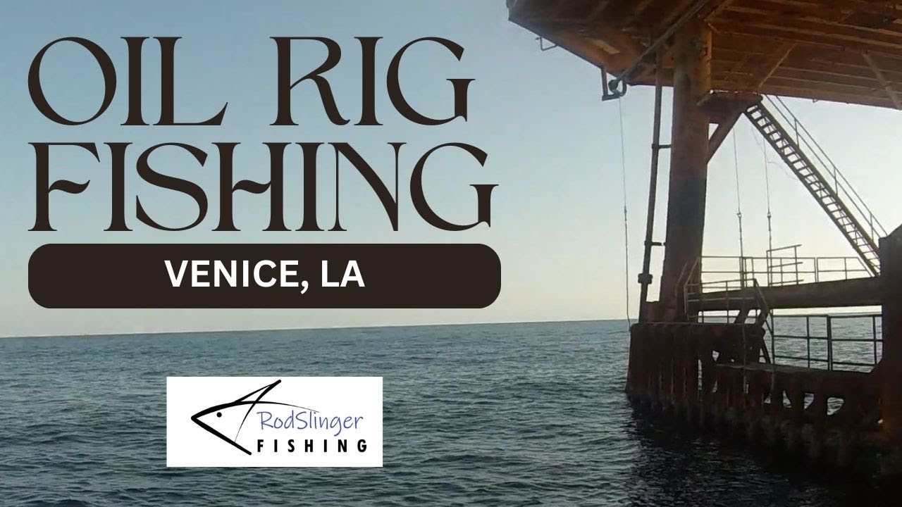 Dropped Live Bait around OIL RIGS!  #mangrovesnapper #venice