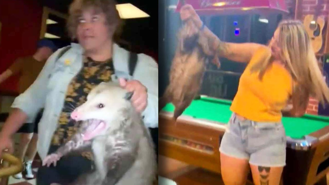 Animals Who Were Caught Inside Bars