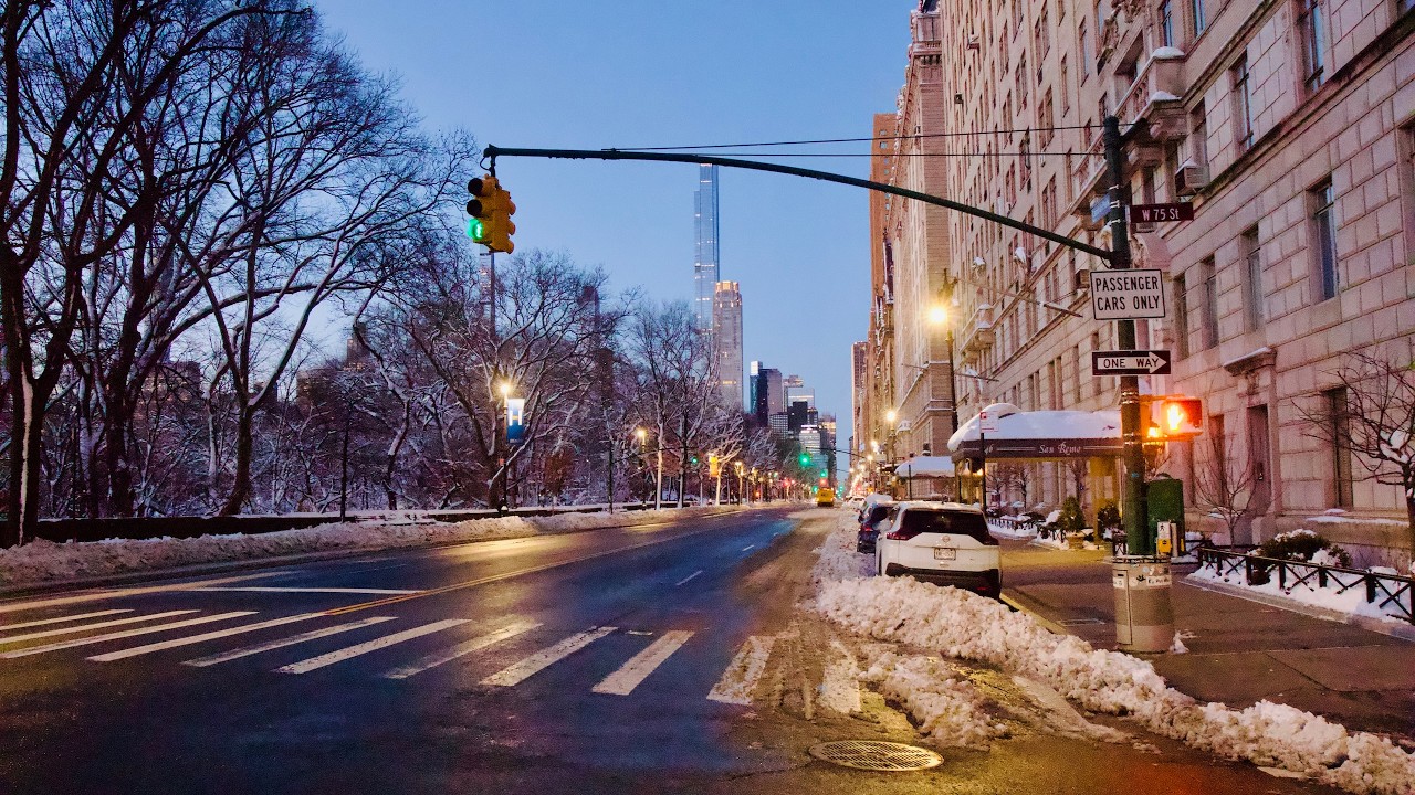 POV: Walking through a Snowy Central Park