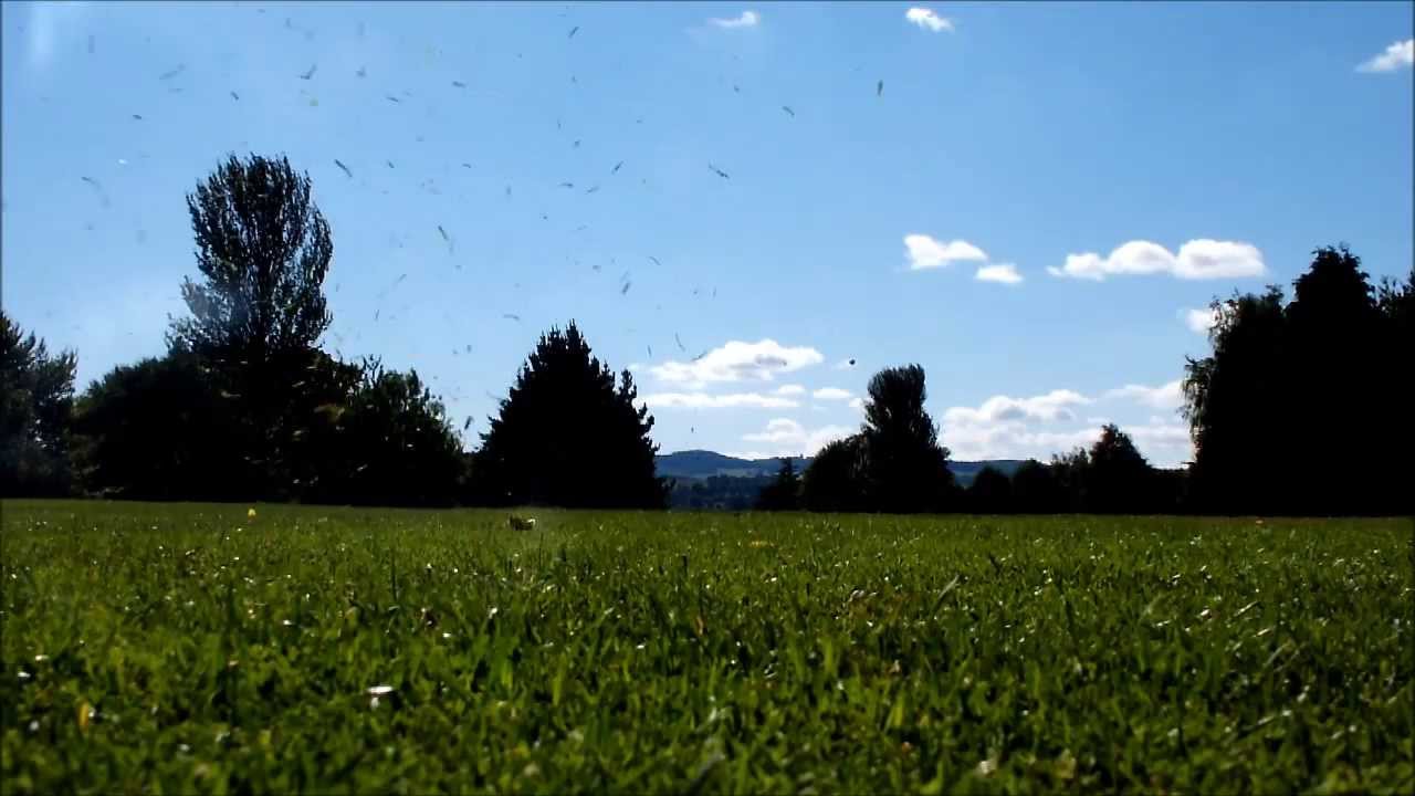 Tileist 3 Wood Insane Golf Ball Flight &brvbar; Harry Flower
