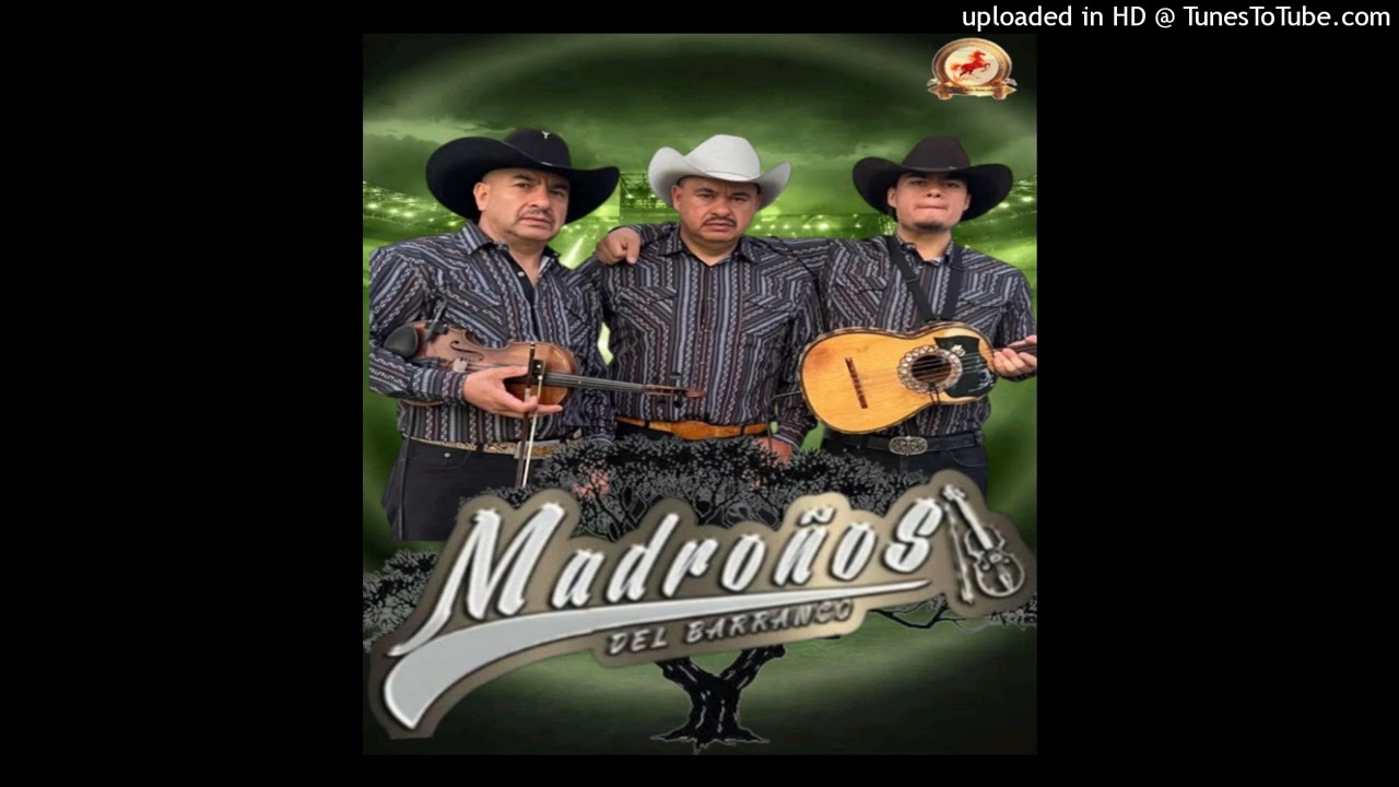 El Ahualulco - Madroños del Barranco [En vivo]