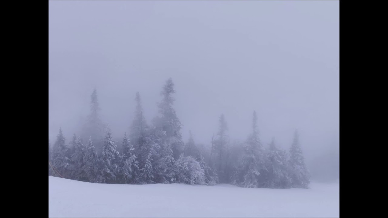 Spooky tundra ambience. Winter wind with creepy sounds.90 minute horror backdround ambience.