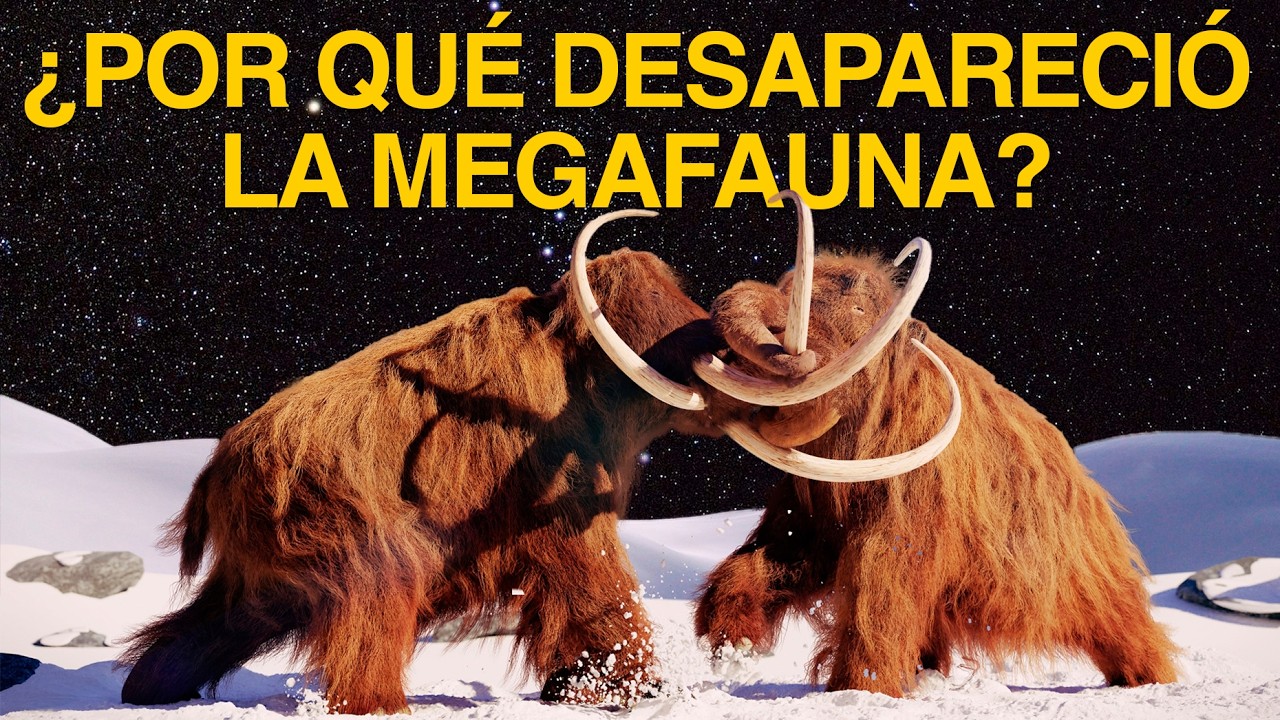 La extinci&oacute;n de la Megafauna: una historia m&aacute;s cruel de lo que imaginas