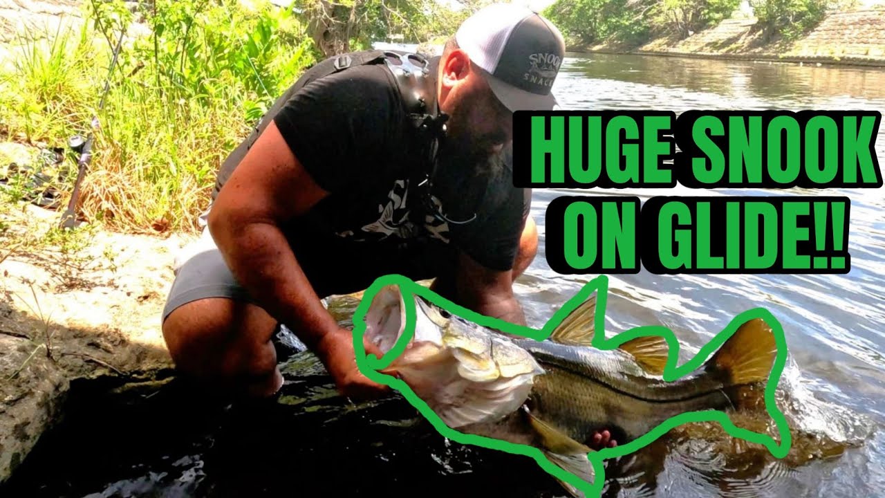 HUGE FRESHWATER SNOOK CHOKES THE SAVAGE GEAR GLIDE SWIMMER!!!!
