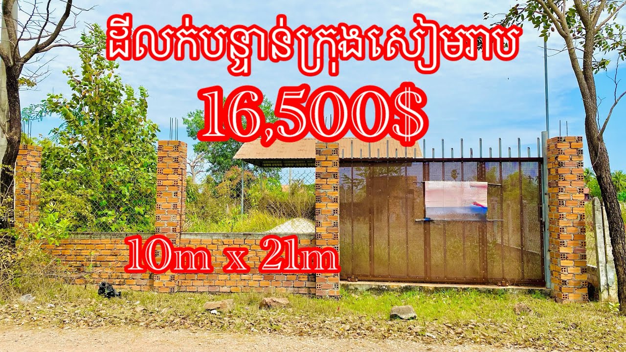 Real Estate633 | ដីលក់បន្ទាន់មានរបង់មួយជុំក្រុងសៀមរាប Land for sale in Siem Reap |085282882